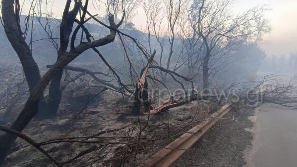 Κρήτη: Συγκλονιστικές εικόνες – Τι άφησε πίσω της η μεγάλη φωτιά στον Ναύσταθμο