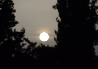 Καιρός: Τι είναι οι άνεμοι τύπου Foen και πώς σχετίζονται με την άνοδο της θερμοκρασίας στη χώρα μας