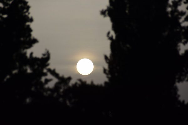 Καιρός: Τι είναι οι άνεμοι τύπου Foen και πώς σχετίζονται με την άνοδο της θερμοκρασίας στη χώρα μας