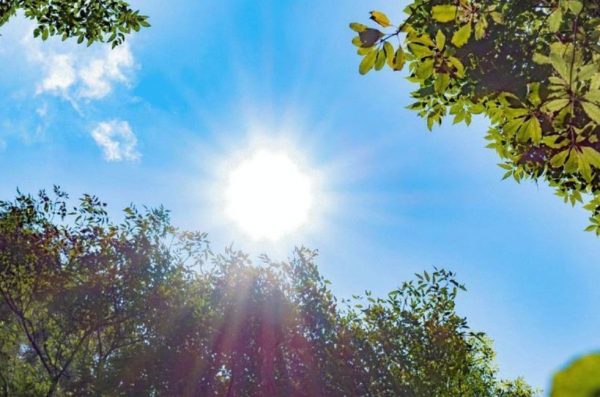 Ηλιόλουστος ο καιρός το Σάββατο – Συνεχίζονται οι υψηλές για την εποχή θερμοκρασίες