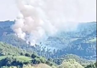 Φωτιά σε δασική έκταση στο Κάλφα Αχαΐας – Επιχειρούν ισχυρές πυροσβεστικές δυνάμεις