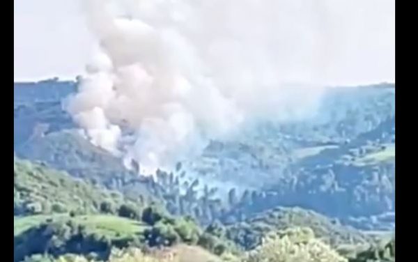 Φωτιά σε δασική έκταση στο Κάλφα Αχαΐας – Επιχειρούν ισχυρές πυροσβεστικές δυνάμεις