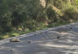 Χανιά: Μητέρα και παιδί τραυματίστηκαν από κατολίσθηση στα Τοπόλια