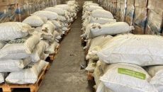 ΑΑΔΕ: Μεγάλη ποσότητα φύλλων κοκαΐνης εντοπίστηκε μέσα σε φορτία λιπασμάτων