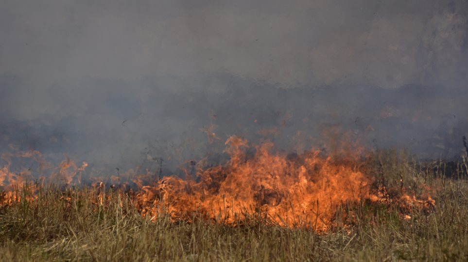 Πυρκαγιές: Βραδυφλεγής βόμβα τα ξερόχορτα και τα ακαθάριστα οικόπεδα - Αυτοψία στην Αττική