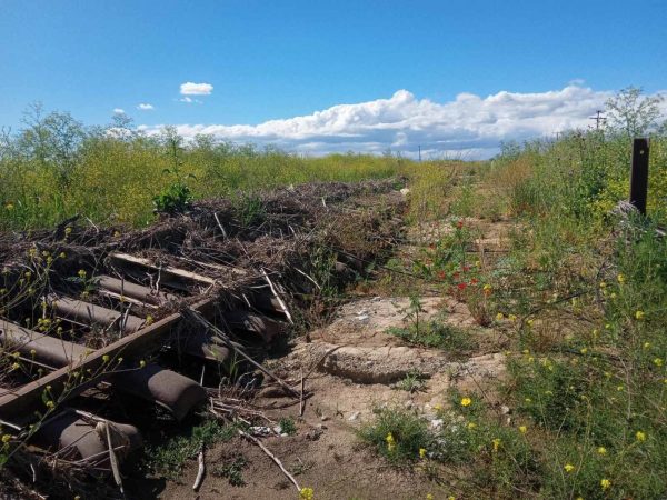 Χάλκη: Εικόνες εγκατάλειψης στη σιδηροδρομική γραμμή Λάρισας – Βόλου
