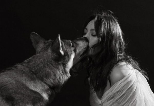 «Όταν τον βγάζω βόλτα…» – Η ζωή με κατοικίδιο έναν λύκο