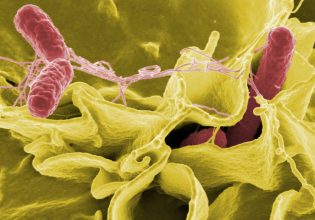 Βιταμίνη D: «Kλειδί» για την ανοσία κατά του καρκίνου και την αποτελεσματική ανοσοθεραπεία