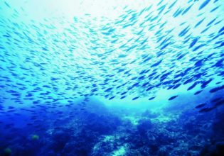 Σηκώνει αυλαία η Διεθνής Διάσκεψη για τους Ωκεανούς