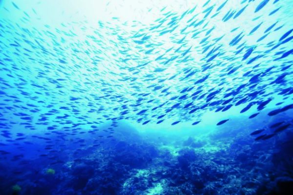 Σηκώνει αυλαία η Διεθνής Διάσκεψη για τους Ωκεανούς