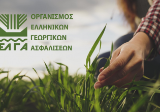 ΕΛΓΑ: Πληρωμή 38,5 εκατ. ευρώ για ζημιές από «Daniel» – Οι δικαιούχοι