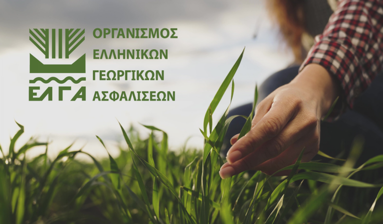 ΕΛΓΑ: Πληρωμή 38,5 εκατ. ευρώ για ζημιές από «Daniel» – Οι δικαιούχοι