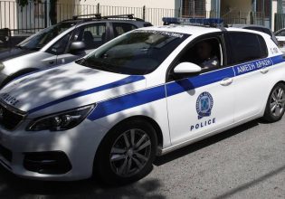 Πέλλα: Σπείρα διακινούσε παράνομα και πλαστά φυτοφάρμακα – Δύο συλλήψεις