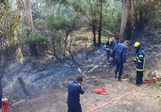 Κρήτη: Καλύτερη η εικόνα της φωτιάς κοντά στον Ναύσταθμο – Μάχη με διάσπαρτες εστίες δίνουν οι πυροσβέστες