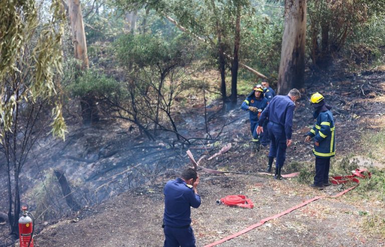 Κρήτη: Καλύτερη η εικόνα της φωτιάς κοντά στον Ναύσταθμο – Μάχη με διάσπαρτες εστίες δίνουν οι πυροσβέστες