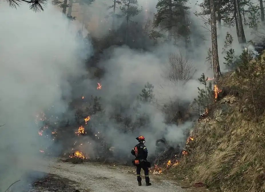 Κατερίνη: Ενισχύθηκαν οι δυνάμεις της Πυροσβεστικής στα Πιέρια Όρη - 'Eρπουσα η πυρκαγιά στο μεγαλύτερο μέρος