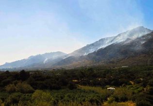 Λασίθι: Χωρίς ενεργό μέτωπο η πυρκαγιά – Πόσα στρέμματα κάηκαν μέχρι το μεσημέρι του Σαββάτου