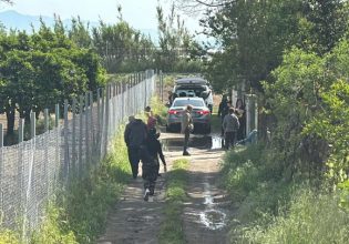 Ιταλία: Πίτμπουλ κατασπάραξαν μωρό ενός έτους – Τραυματίστηκε η μητέρα προσπαθώντας να το σώσει