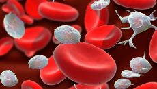 Συνθετικά αιμοπετάλια υπόσχονται να σταματήσουν σοβαρές αιμορραγίες