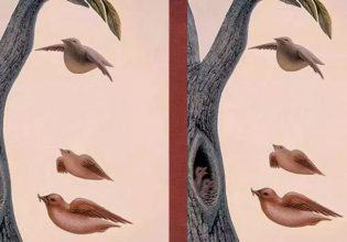 Τεστ προσωπικότητας: Τι επιθυμείτε πραγματικά στη ζωή σας; – Δείτε την εικόνα και… μάθετε