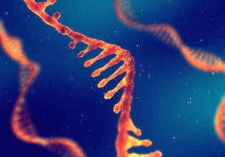 RNA: «Αθάνατα» μόρια ανακαλύφθηκαν στον εγκέφαλο