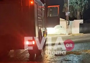 Χαλκίδα: Πέταξε σκύλο σε κάδο απορριμμάτων και του έβαλε φωτιά