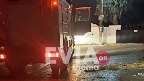 Χαλκίδα: Πέταξε σκύλο σε κάδο απορριμμάτων και του έβαλε φωτιά