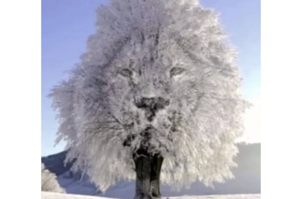 Τεστ προσωπικότητας: Αυτό που βλέπετε πρώτα αποκαλύπτει αν είστε εσωστρεφείς ή κοινωνικοί