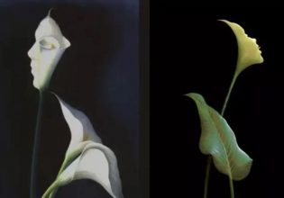 Τεστ προσωπικότητας: Αυτό που βλέπετε πρώτα αποκαλύπτει αν είστε ευαίσθητοι ή επιφανειακοί