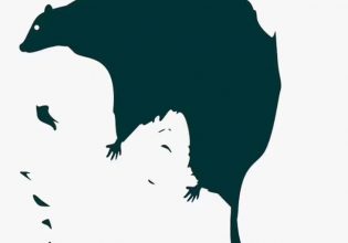 Ποιος είναι ο μεγαλύτερος φόβος σας; – Αυτό το τεστ προσωπικότητας αποκαλύπτει τι σας κρατά ξύπνιους τη νύχτα