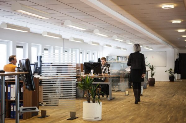 Ποια επαγγέλματα «κληρονομούν» οι νέοι