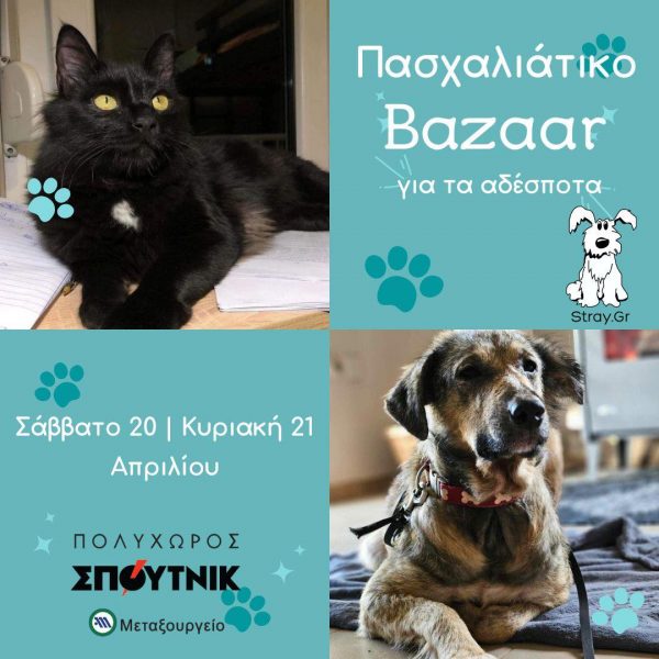 Πασχαλινό bazaar για τα αδεσποτάκια