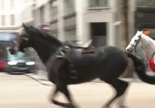 Λονδίνο: Άλογα εθεάθησαν να καλπάζουν ελεύθερα στο κέντρο της πόλης