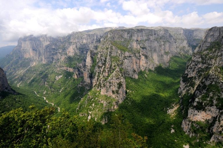 Ζώα χτυπημένα από ανθρώπινο χέρι βρέθηκαν νεκρά από περιβαλλοντικές οργανώσεις