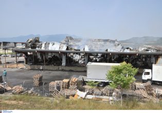 Λαμία: Το Δημόσιο στους «μεγάλους» πελάτες της «Γιαννίτσης Group» – Οι νέες καταγγελίες για τα σχολικά γεύματα
