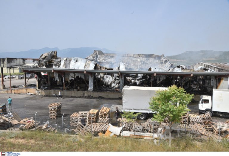 Λαμία: Το Δημόσιο στους «μεγάλους» πελάτες της «Γιαννίτσης Group» – Οι νέες καταγγελίες για τα σχολικά γεύματα