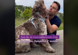 Κασσελάκης: Βάζει τη Φάρλι απέναντι στον Πίνατ – Η απάντηση μέσω TikTok στον Μητσοτάκη