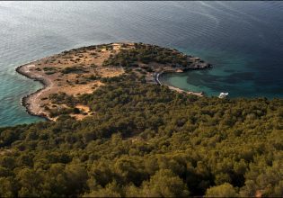 Το ελληνικό νησί… παράδεισος επί Γης – Εξωτικά ζώα οι μόνιμοι «κάτοικοί» του