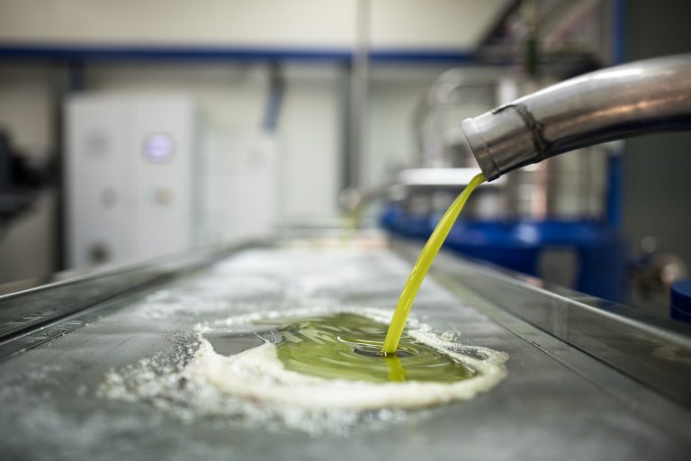 Κασσελάκης και Μητσοτάκης: Ο καλύτερος λαδέμπορας στο προεκλογικό ρινγκ