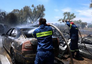 Όχημα λαμπάδιασε στο Κερατσίνι – Κάηκε και ένα δέντρο