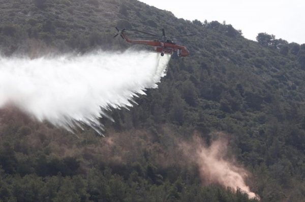 Δήμαρχος Παπάγου – Χολαργού: «Η προστασία του Υμηττού αποτελεί μέγιστη προτεραιότητα»