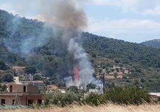 Κλιμάκιο αντιμετώπισης εγκλημάτων εμπρησμού στη Σαλαμίνα μετά από πυρκαγιά