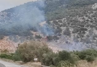Υπό έλεγχο η φωτιά στην Περιφερειακή Αιγάλεω στον Ασπρόπυργο
