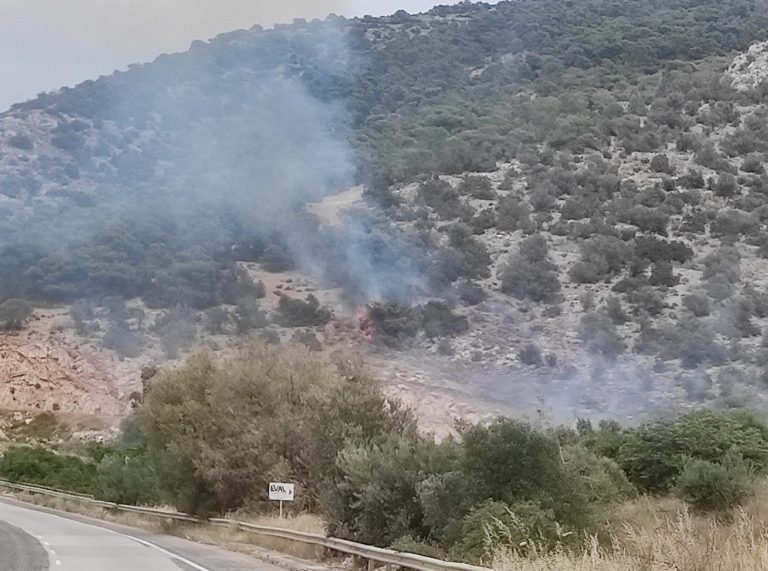 Υπό έλεγχο η φωτιά στην Περιφερειακή Αιγάλεω στον Ασπρόπυργο