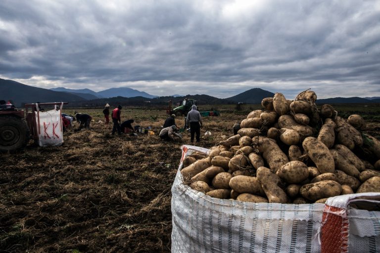 Η τιμή της πατάτας