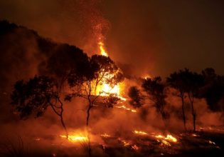 Πυρκαγιές: Προ των πυλών ο πύρινος εφιάλτης – Το δύσκολο καλοκαίρι και η ελληνική «θωράκιση»