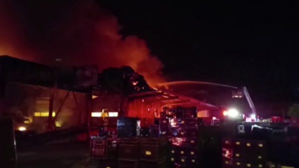 Λαμία: Εξετάζονται δείγματα από 20 σημεία για τυχόν εύφλεκτα υλικά – Εν αναμονή του πορίσματος για τη φωτιά