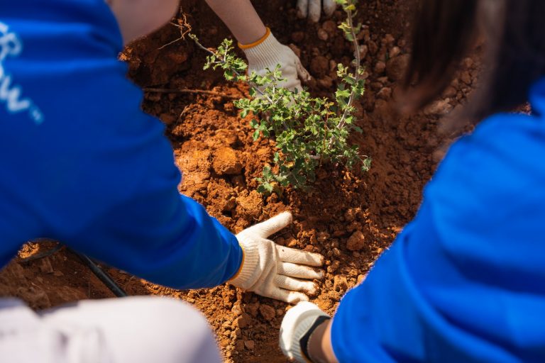 Μy glorious green moments: Μία σπουδαία πρωτοβουλία που θέλει να κάνει τον πλανήτη πιο πράσινο