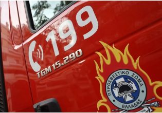 Νέα φωτιά στην Αλίαρτο Βοιωτίας