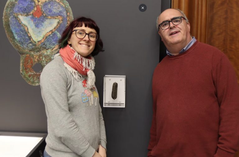 Αγγλία: Καθηγητής βρίσκει στον κήπο του σπιτιού του πέτρα με αρχαία γραφή